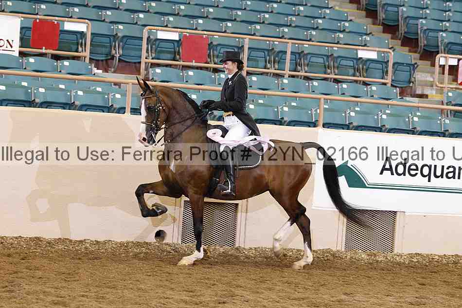 Proof 12yn_02166
