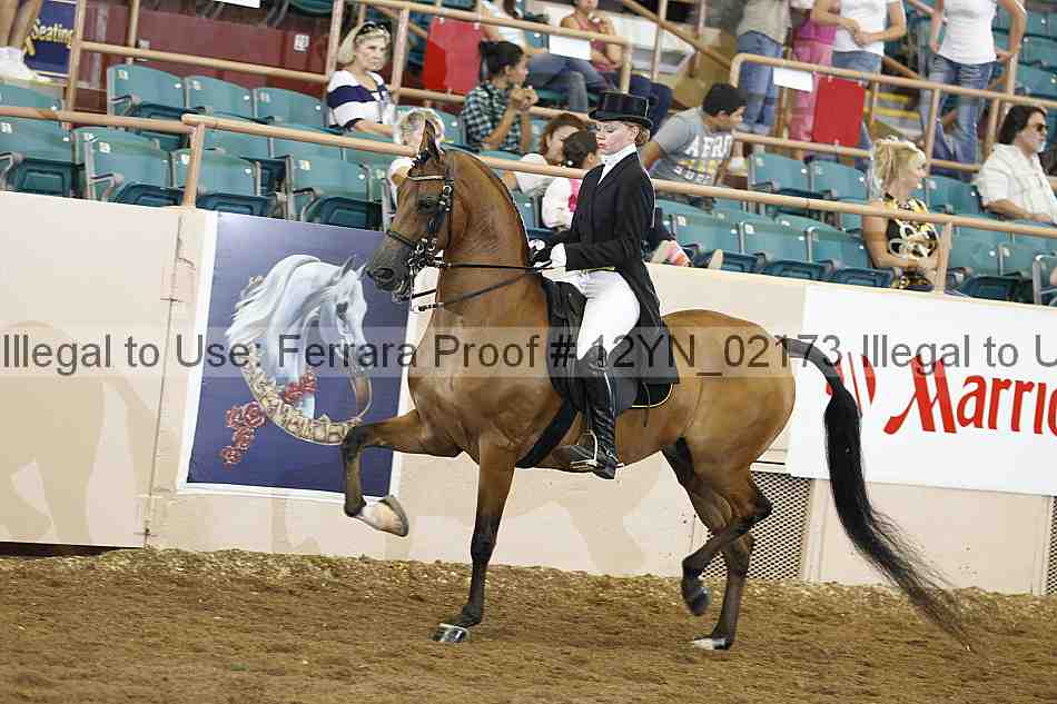 Proof 12yn_02173