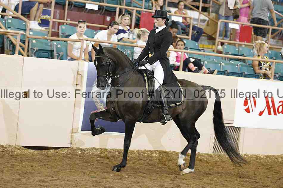Proof 12yn_02175