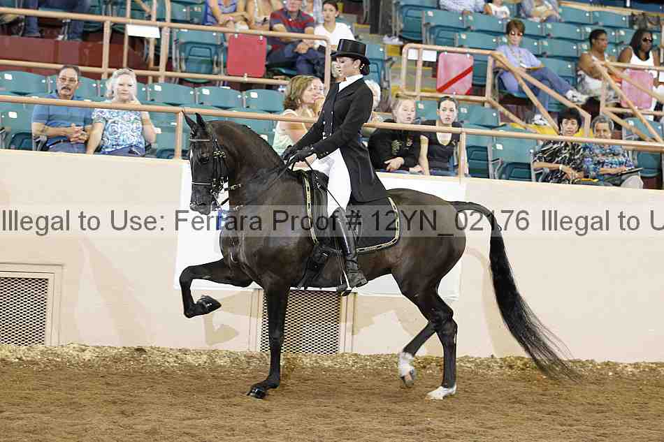 Proof 12yn_02176