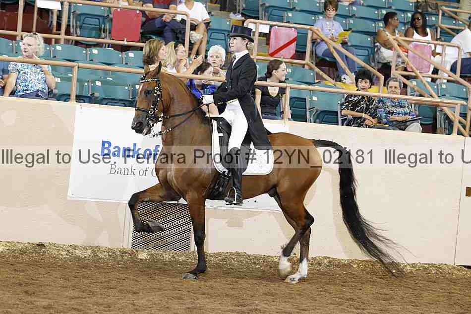 Proof 12yn_02181