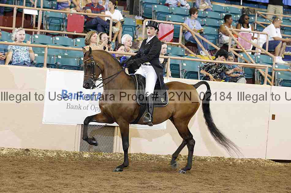 Proof 12yn_02184