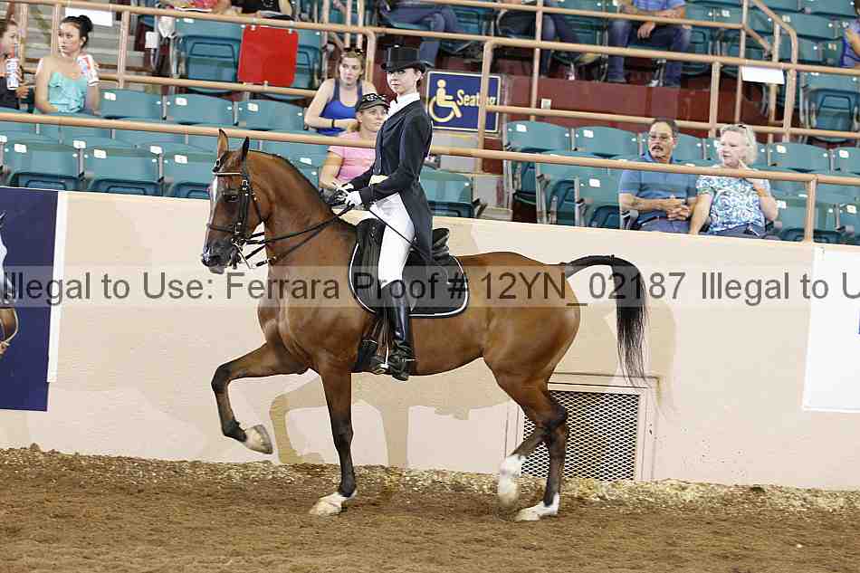 Proof 12yn_02187