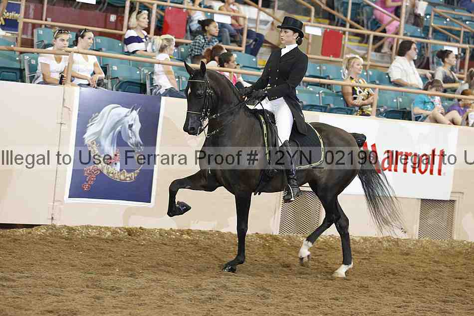 Proof 12yn_02190