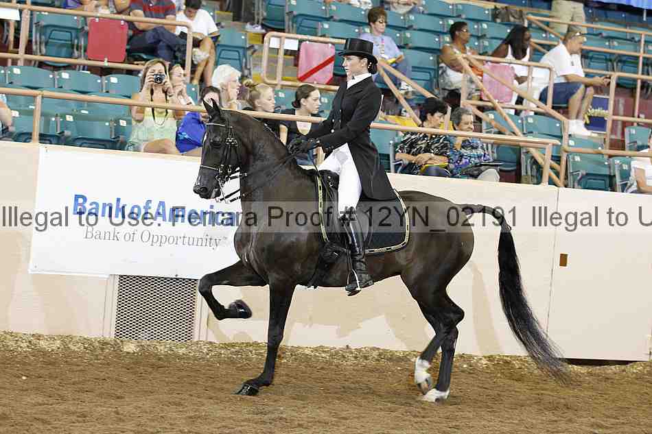 Proof 12yn_02191