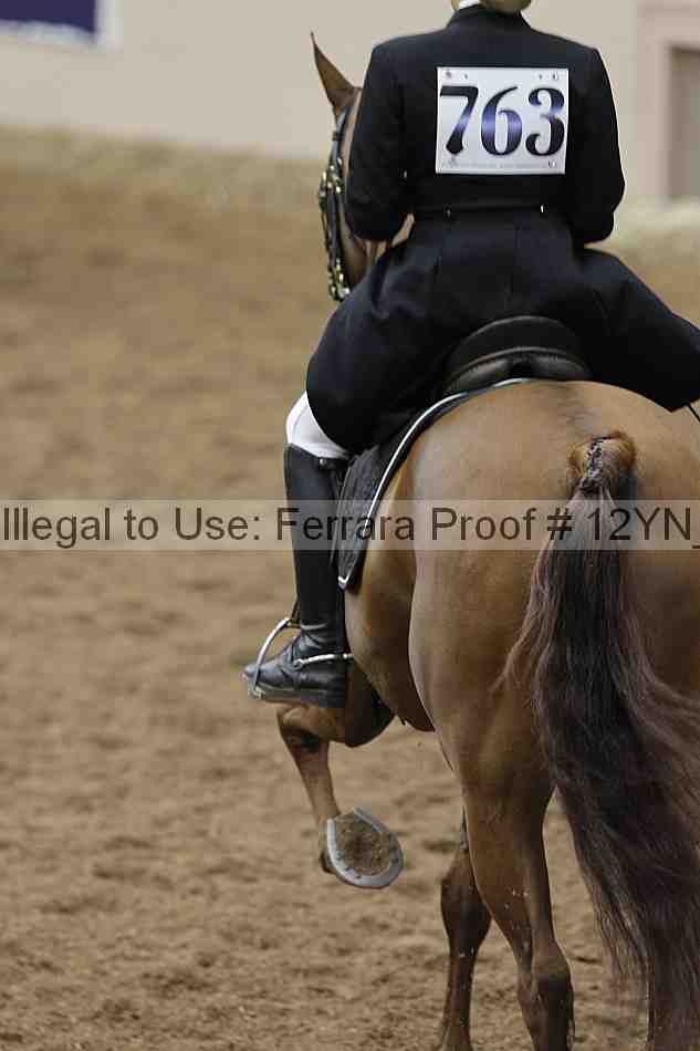 Proof 12yn_02192