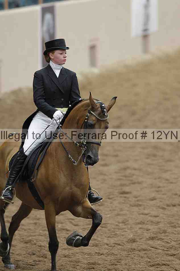 Proof 12yn_02194