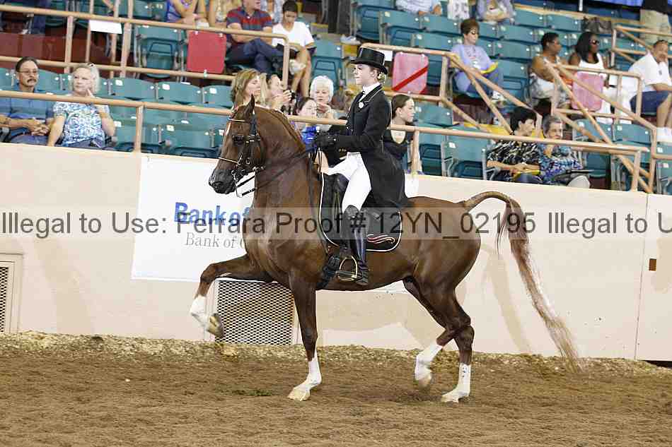 Proof 12yn_02195