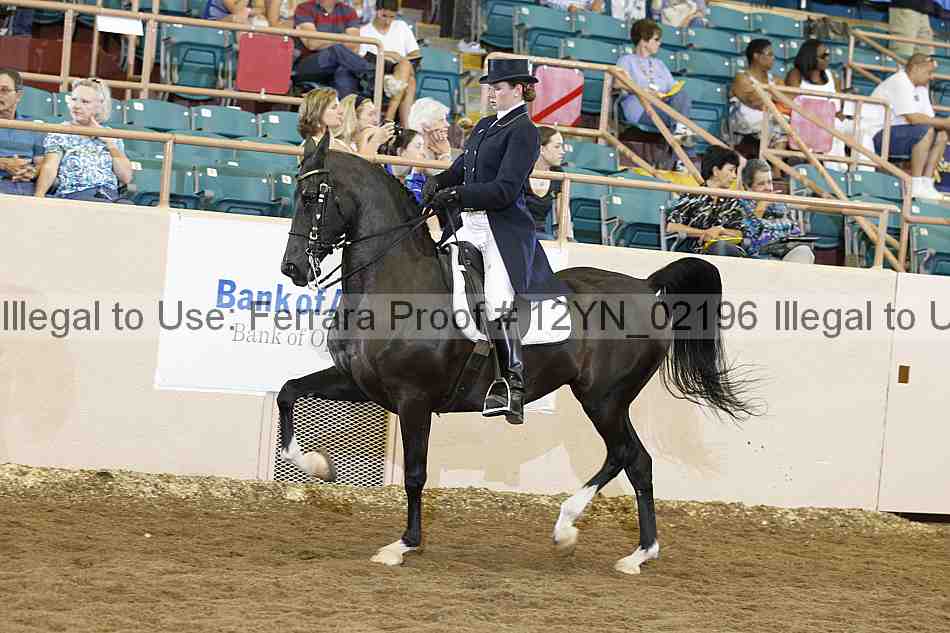 Proof 12yn_02196
