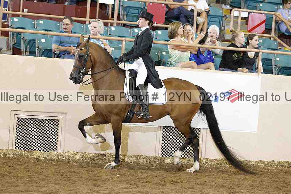 Proof 12yn_02197