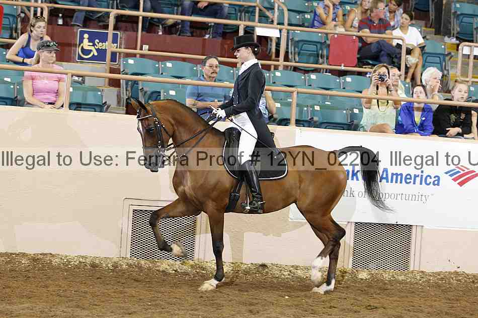 Proof 12yn_02204