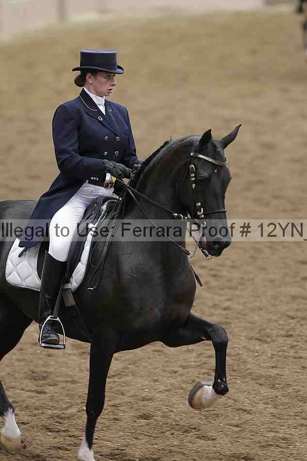 Proof 12yn_02205