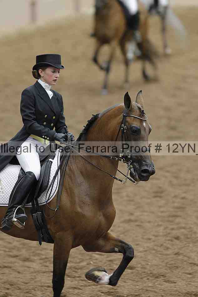 Proof 12yn_02206