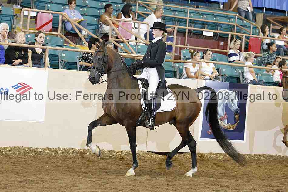 Proof 12yn_02208