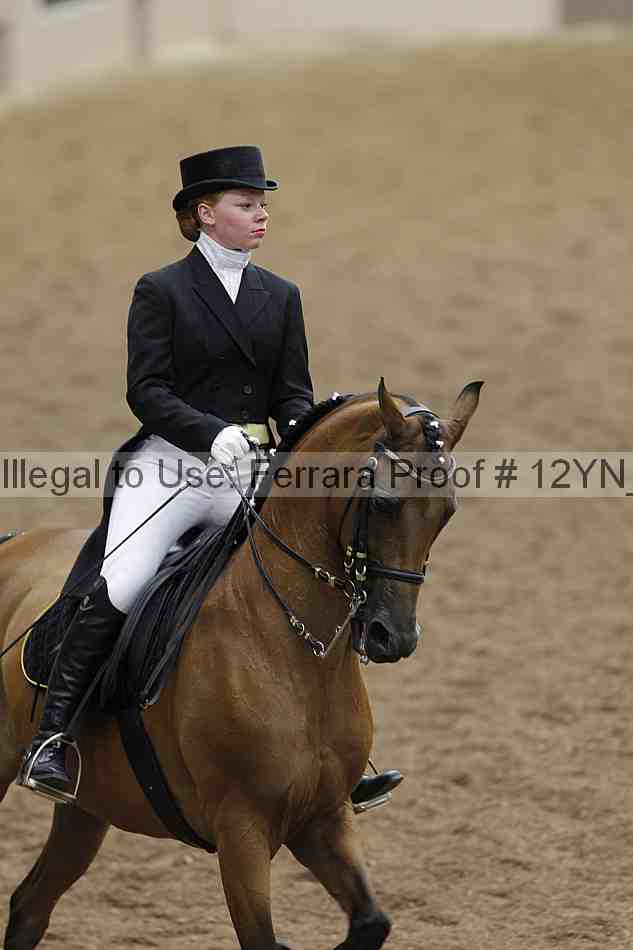 Proof 12yn_02209