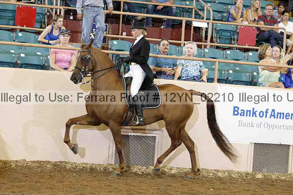 Proof 12yn_02210