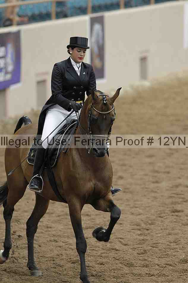 Proof 12yn_02211