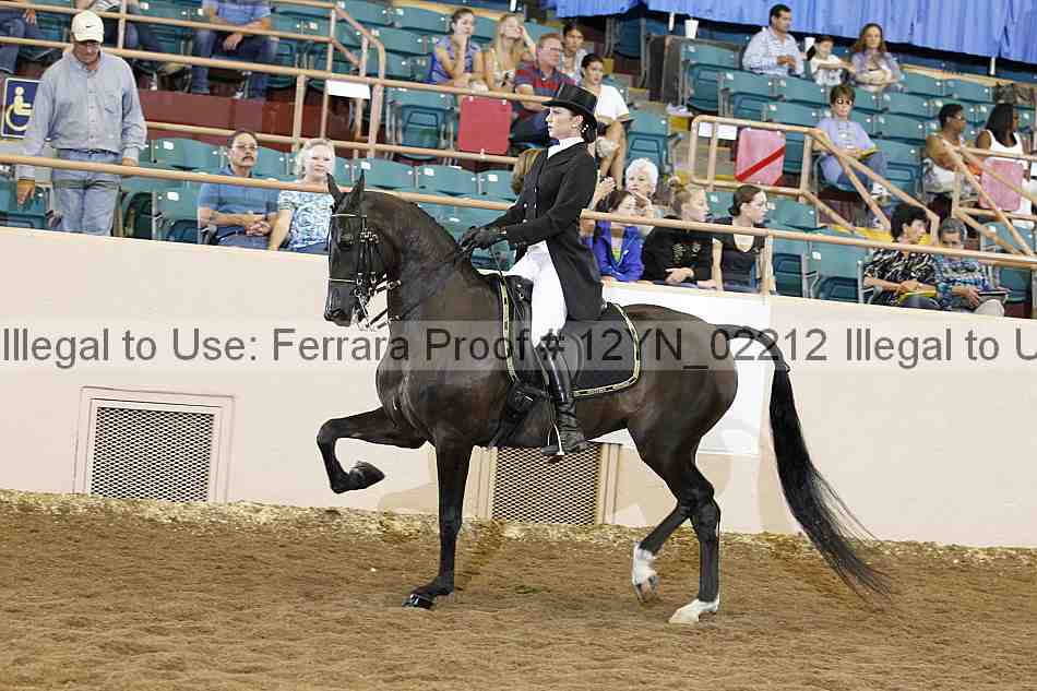 Proof 12yn_02212