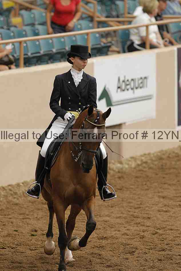 Proof 12yn_02213