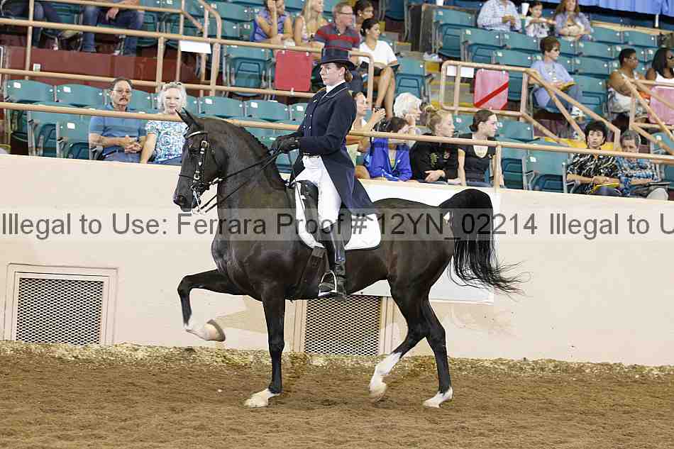 Proof 12yn_02214