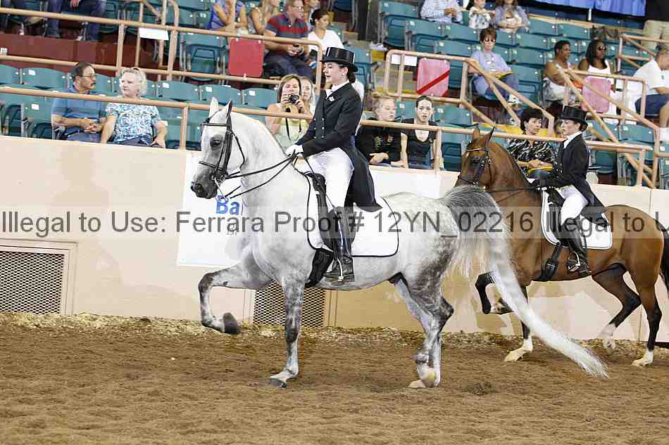 Proof 12yn_02216