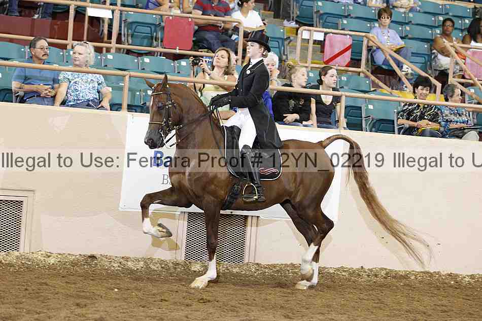 Proof 12yn_02219