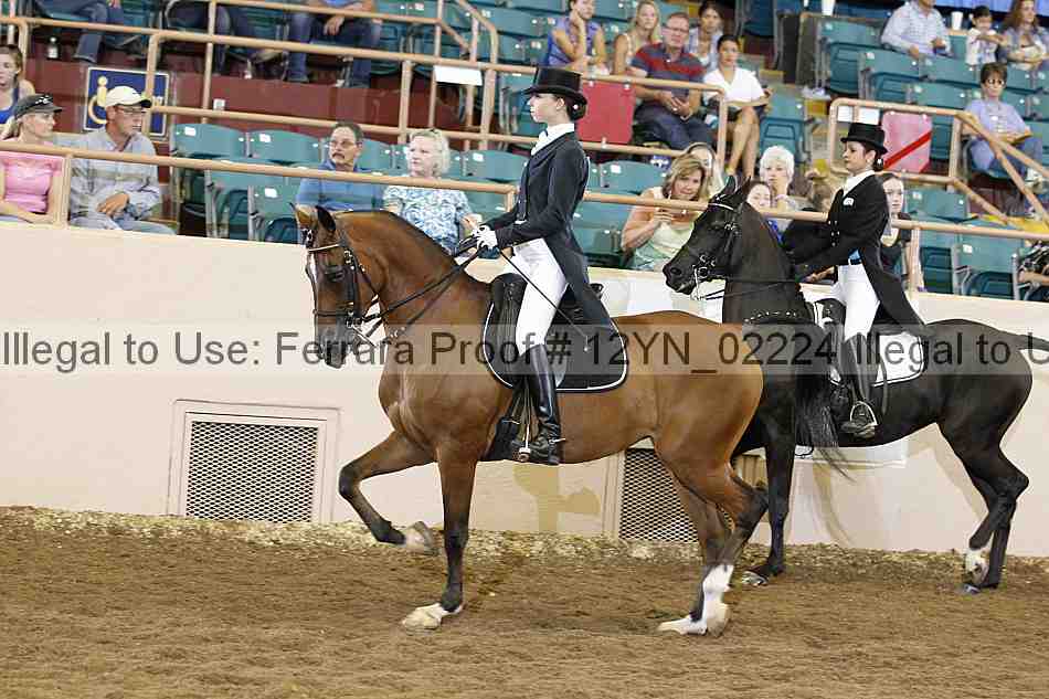 Proof 12yn_02224