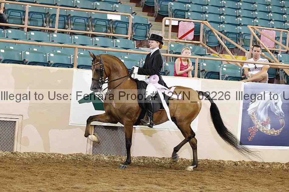 Proof 12yn_02226