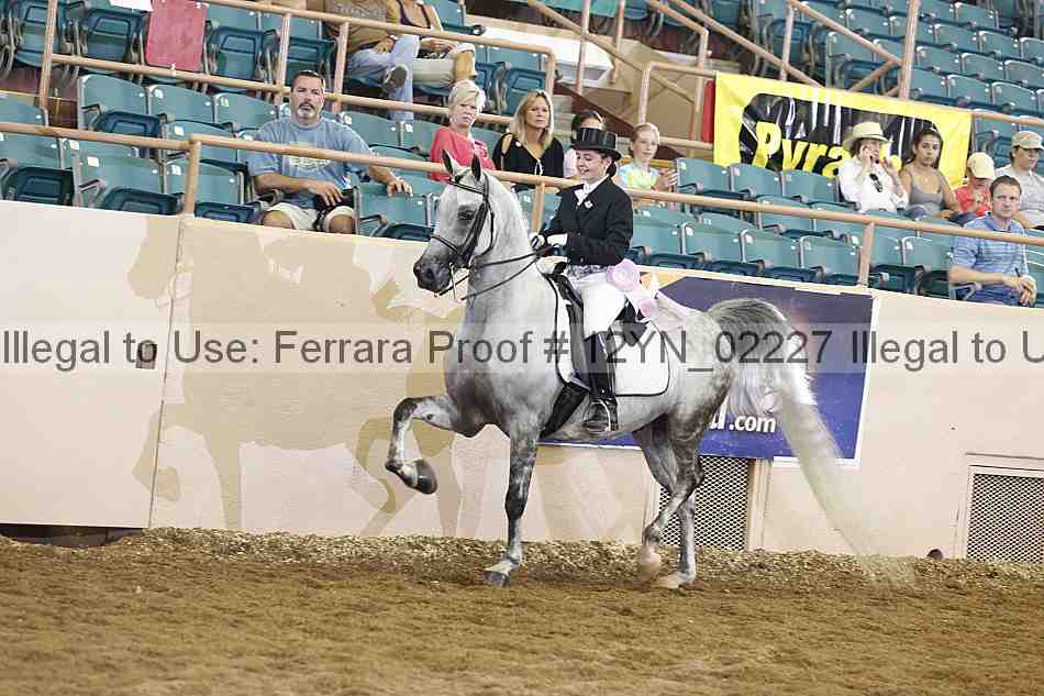 Proof 12yn_02227