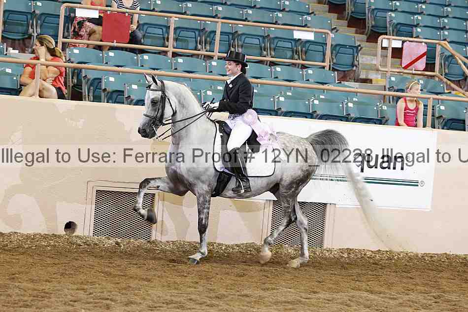 Proof 12yn_02228