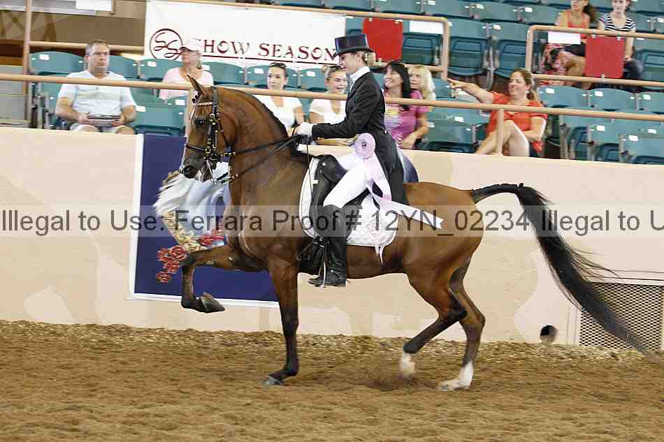 Proof 12yn_02234