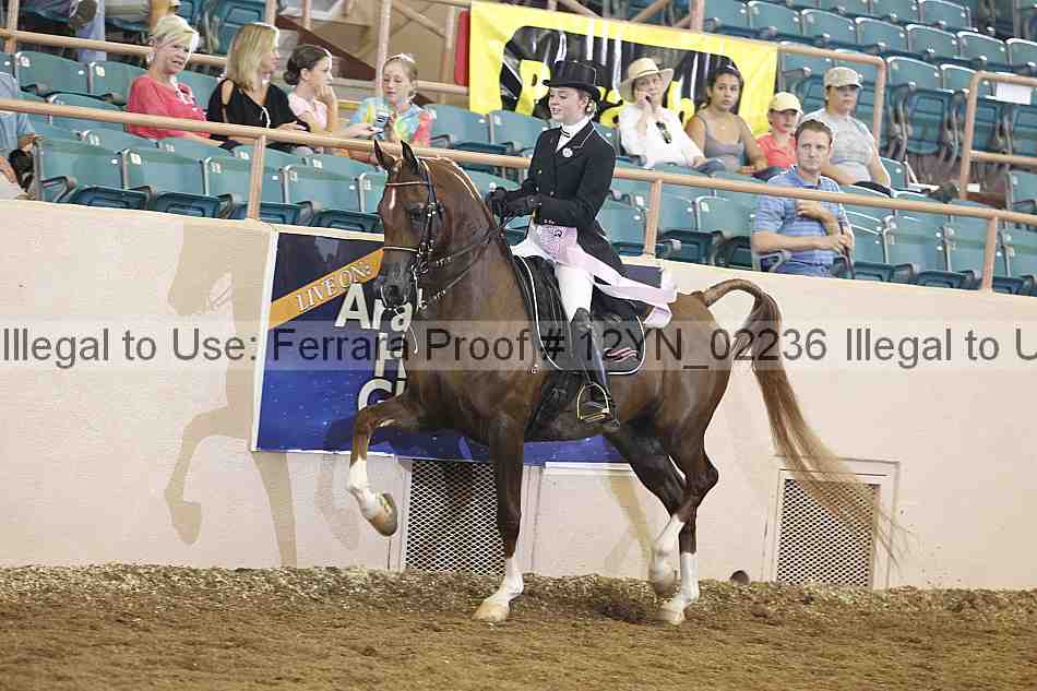 Proof 12yn_02236