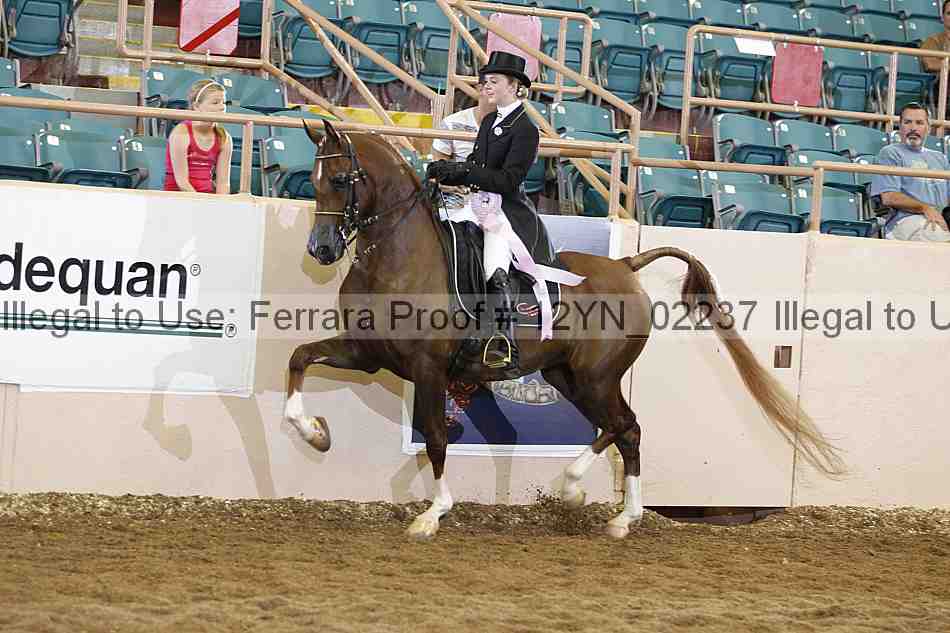 Proof 12yn_02237