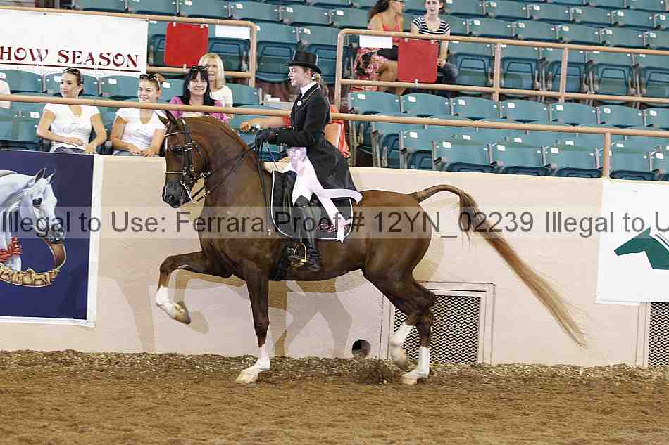 Proof 12yn_02239