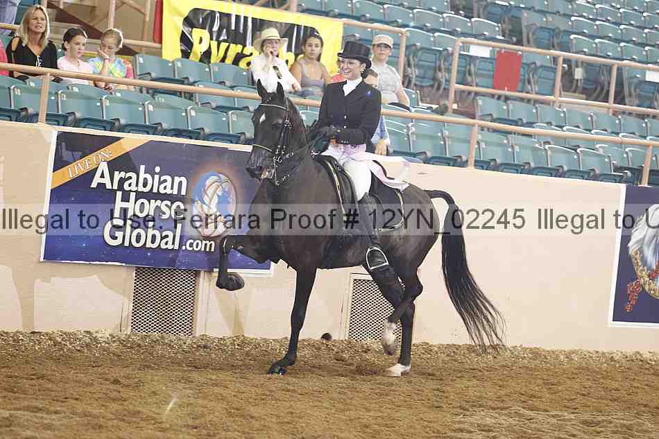 Proof 12yn_02245