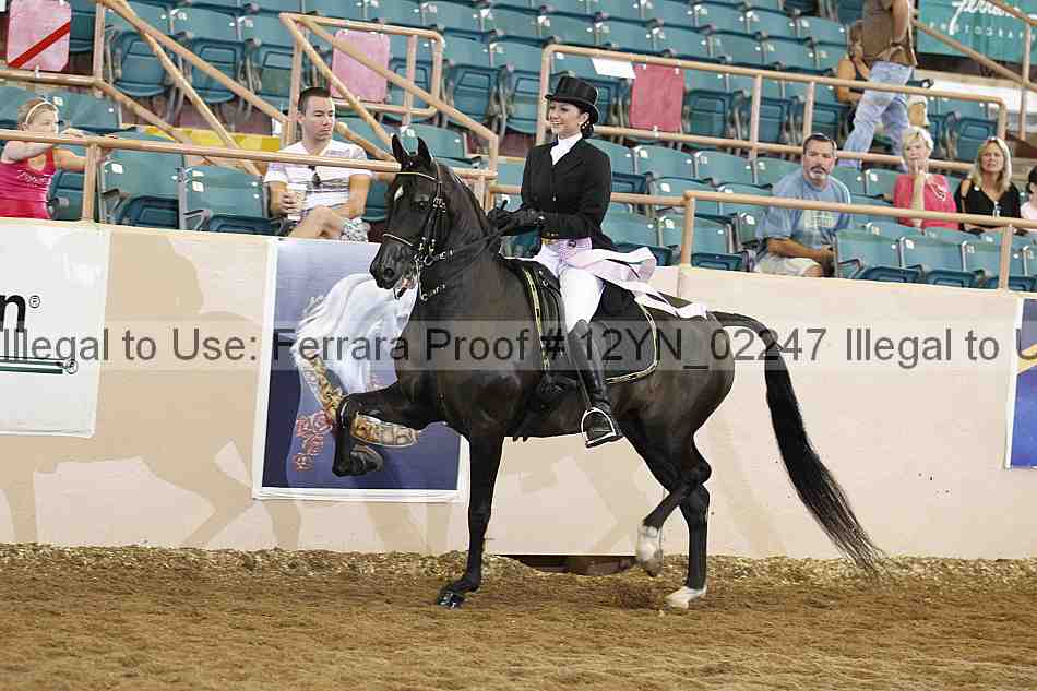 Proof 12yn_02247