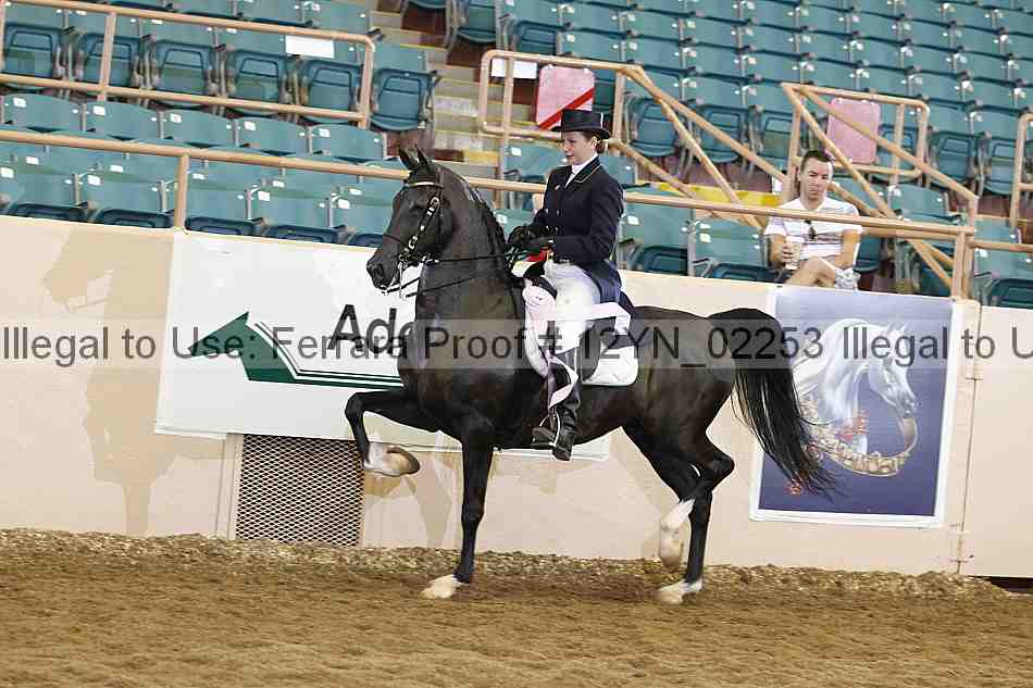 Proof 12yn_02253