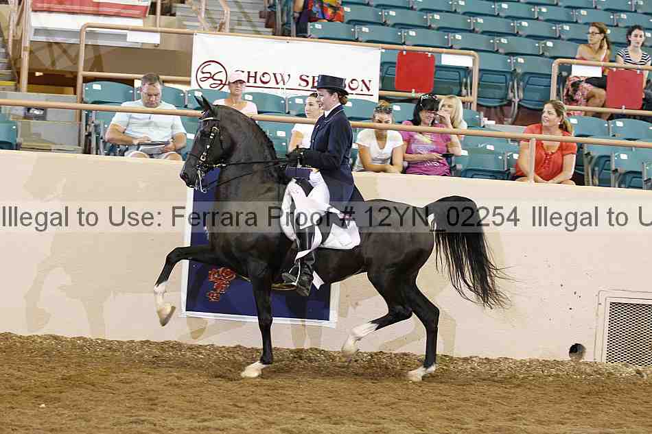 Proof 12yn_02254