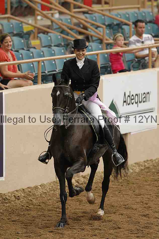 Proof 12yn_02257