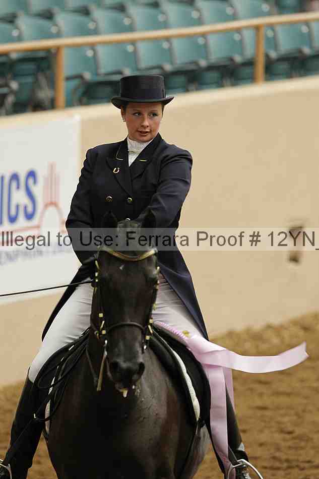 Proof 12yn_02265