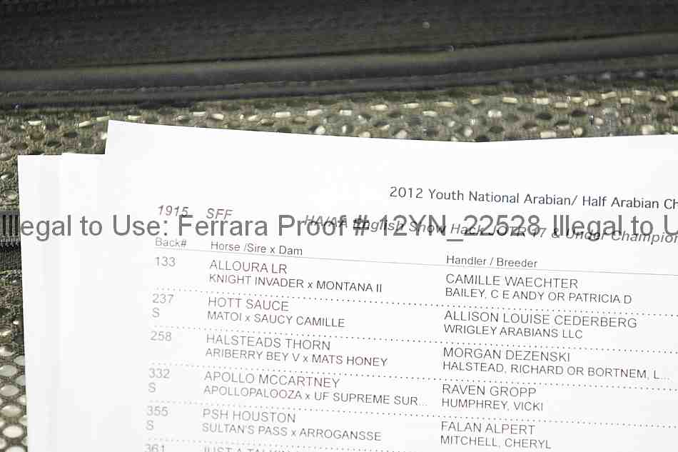 Proof 12yn_22528