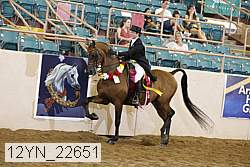 12yn_22651 proof