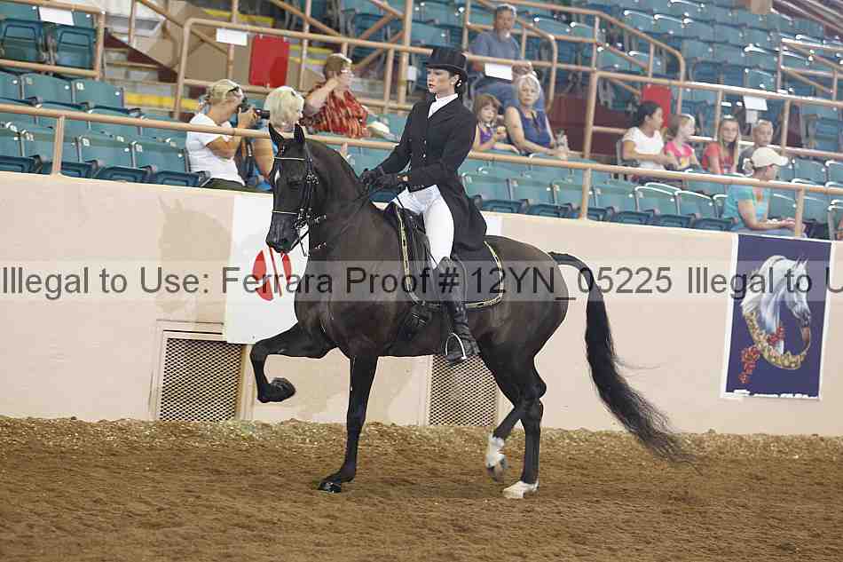 Proof 12yn_05225