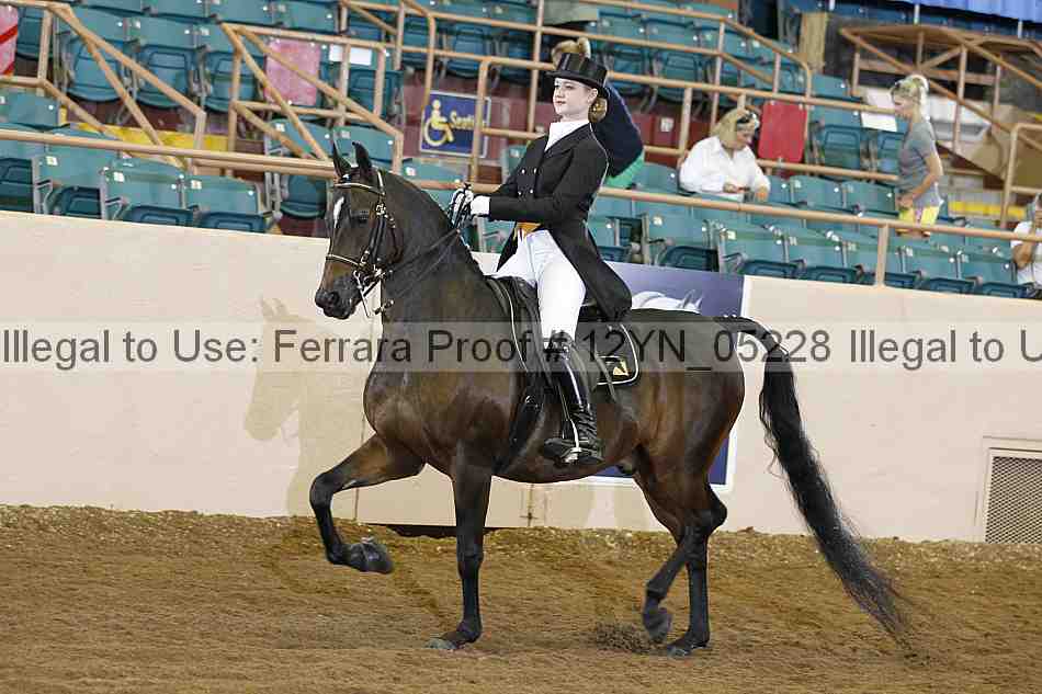 Proof 12yn_05228