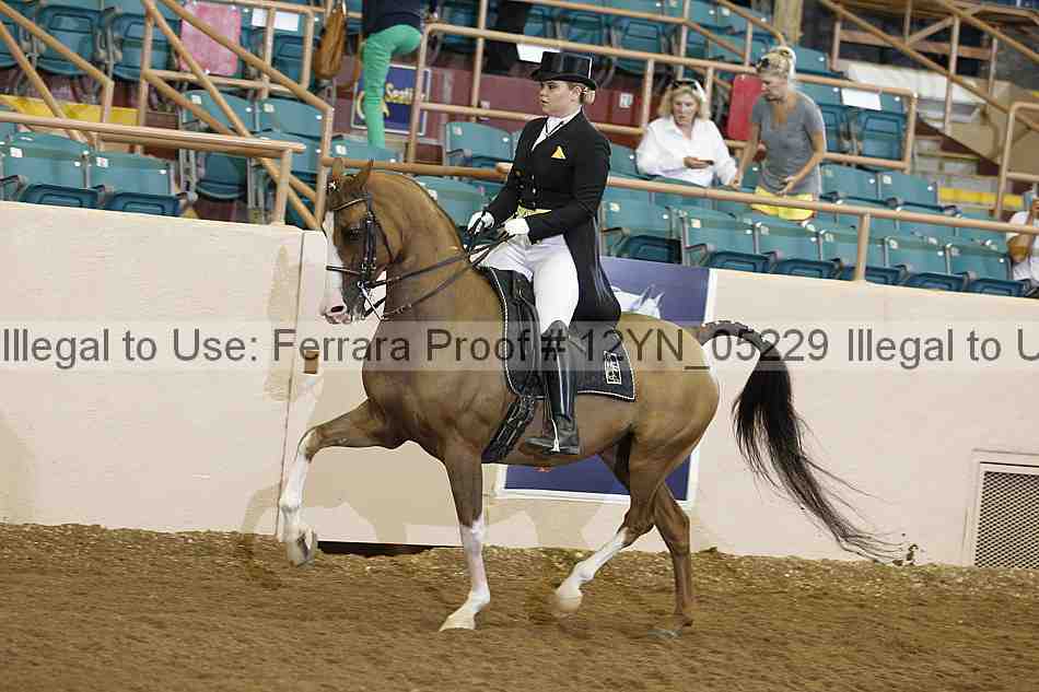 Proof 12yn_05229
