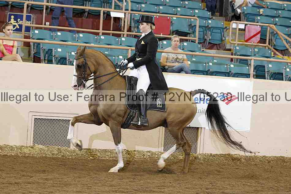 Proof 12yn_05230
