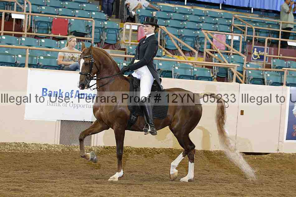 Proof 12yn_05233