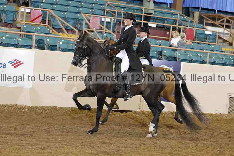 Proof 12yn_05234
