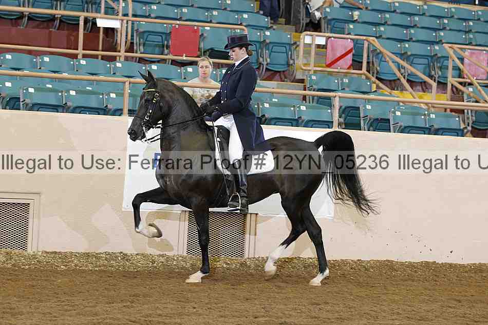 Proof 12yn_05236