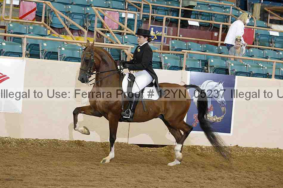 Proof 12yn_05237